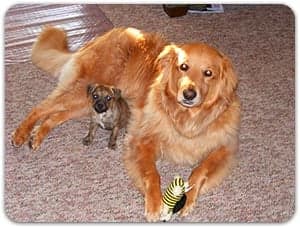 Manny and a friend